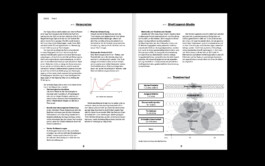 Studio Michael Schmitz