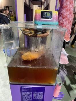  Studio Michael Schmitz